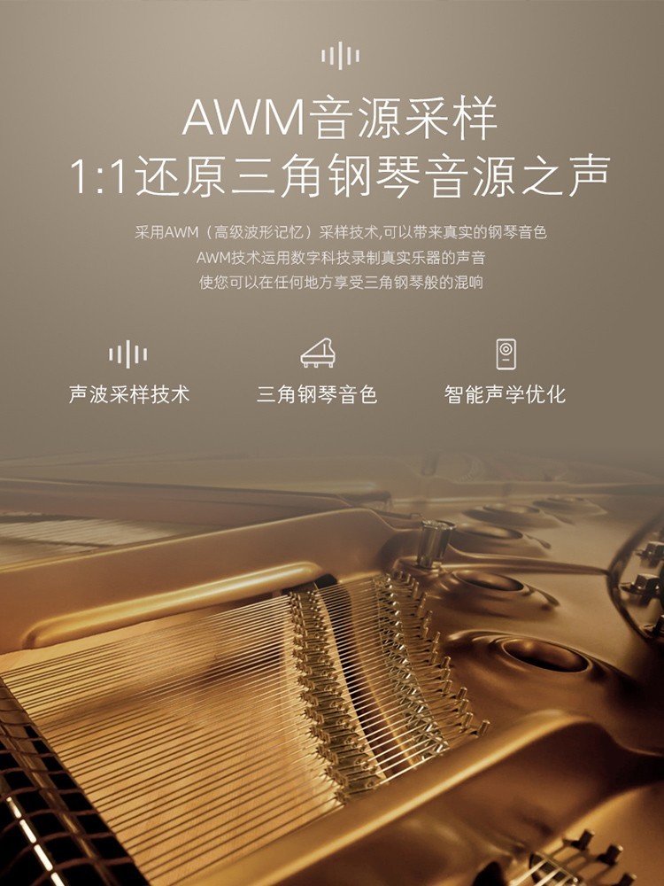 Grand Piano 88-Key Weighted Sm - огляд і ціна Smart Home Uses