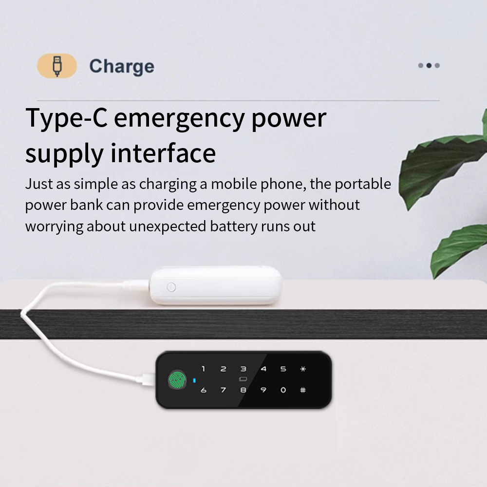 Tuya Bluetooth Smart Wood Cabi - огляд і ціна Smart Home Key