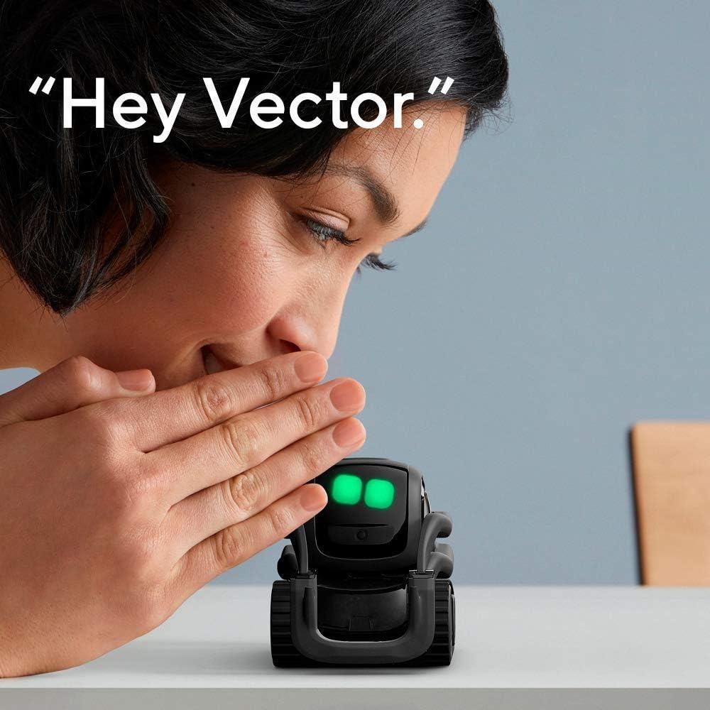 AI ChatGPT 2.0 Connected Robot - огляд і ціна Smart Home Battery Camera