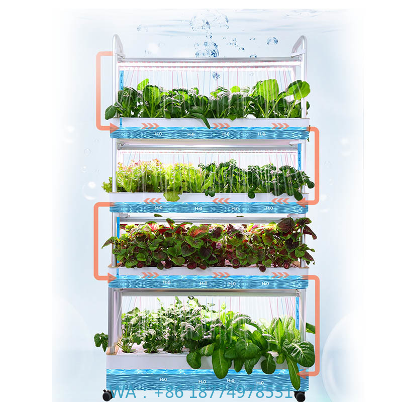 ydroponic Planting System Smar - огляд і ціна Smart Home Uses