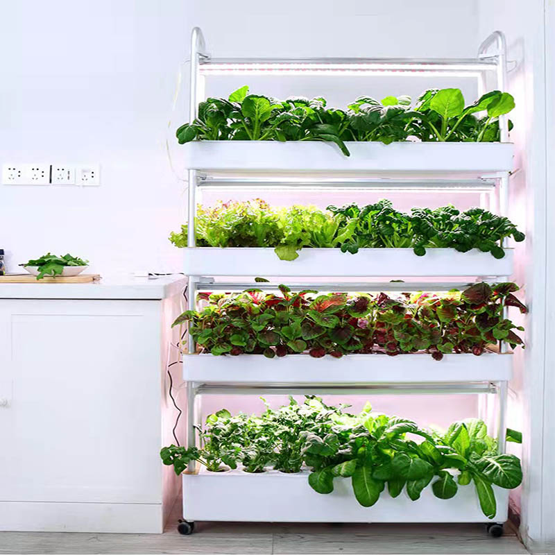 ydroponic Planting System Smar - огляд і ціна Smart Home Uses