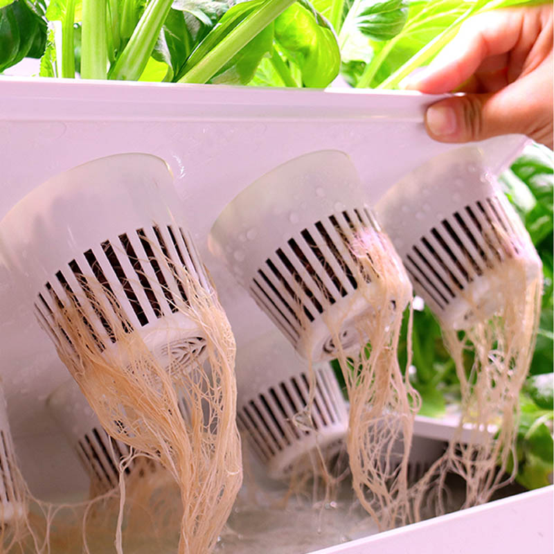 ydroponic Planting System Smar - огляд і ціна Smart Home Uses