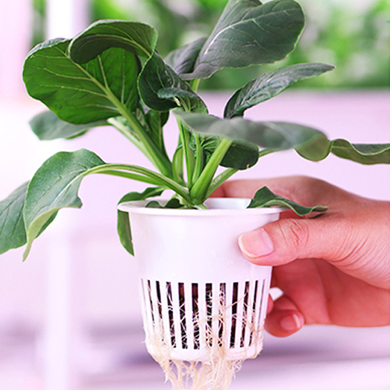 ydroponic Planting System Smar - огляд і ціна Smart Home Uses