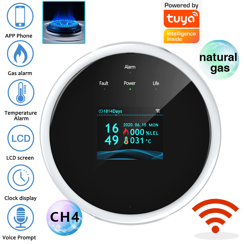 2.4G WiFi Gas Alarm Sensor Com - огляд і ціна Smart Home Security System