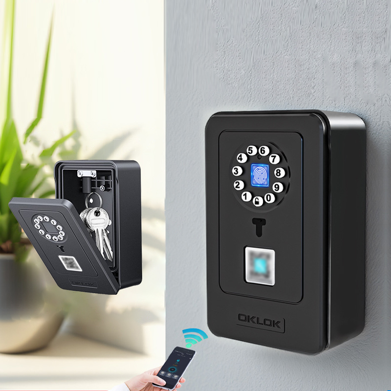 Intelligent Padlock Hang Desig - огляд і ціна Smart Home Key